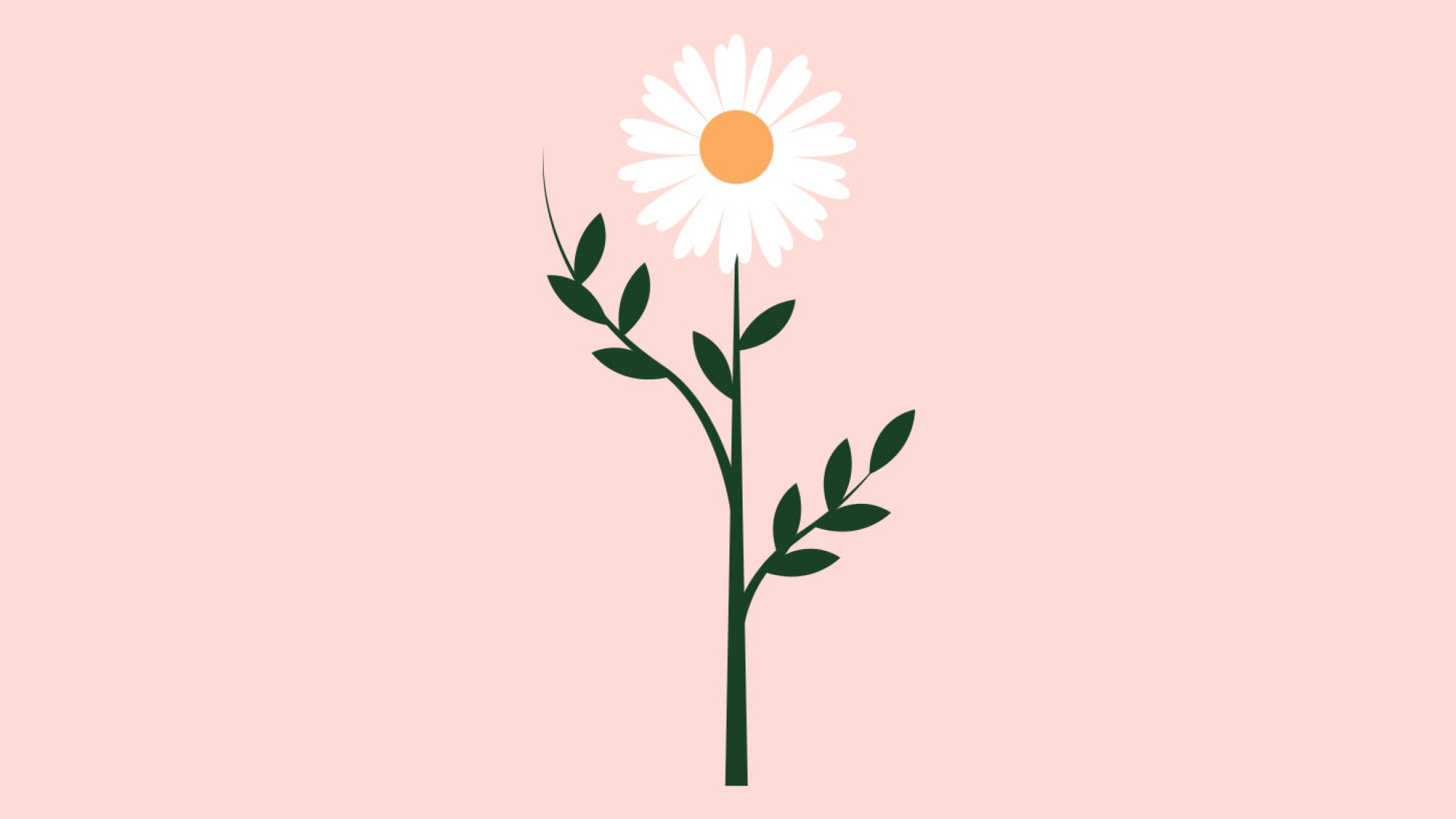 sebnem yuksel blog